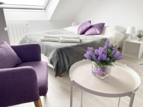 Esprit Violet - Joli Studio Salengro - Sauna & Sport club